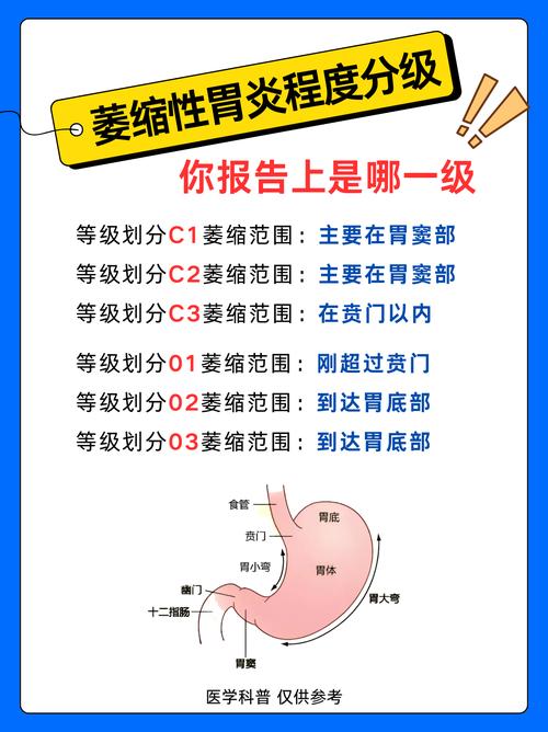 慢性胃炎中医病因病机及证候研究进展