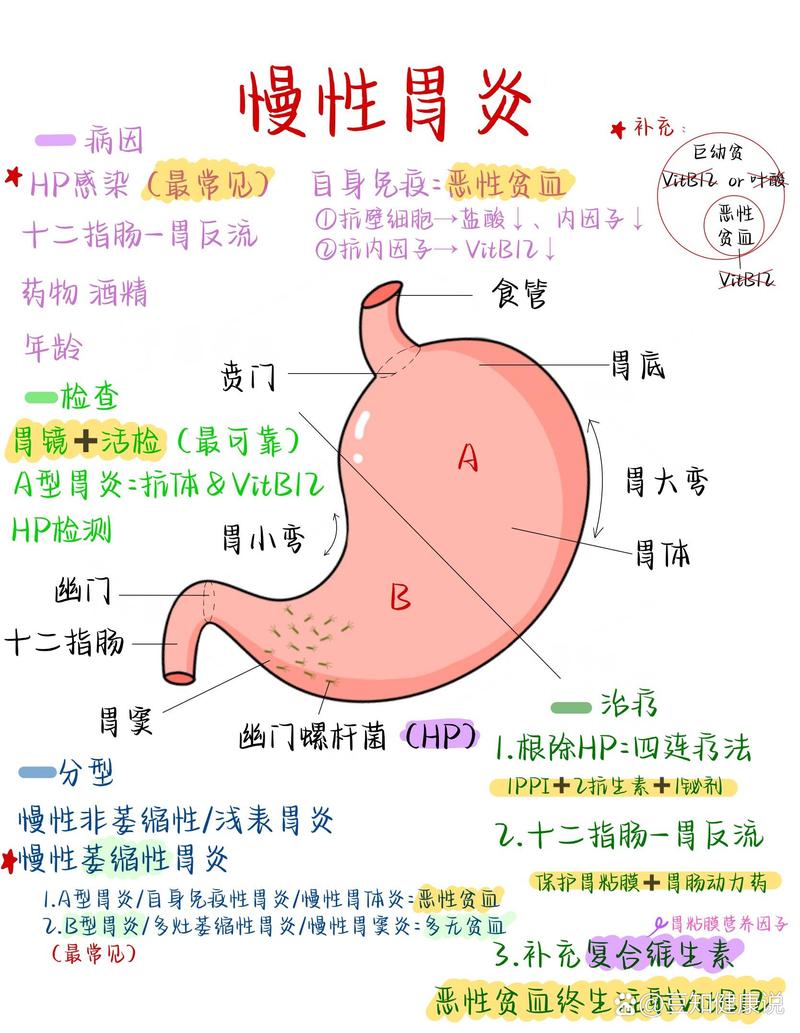 慢性胃炎中医病因病机及证候研究进展