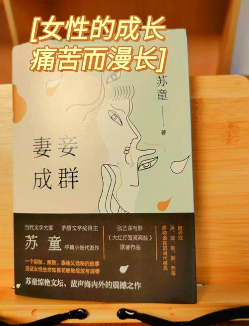 文本与影像的互动—《妻妾成群》小说与电影的比较研究