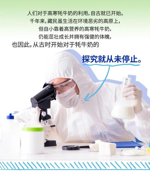 不同加热方式和添加剂对牦牛肉糜品质影响的研究