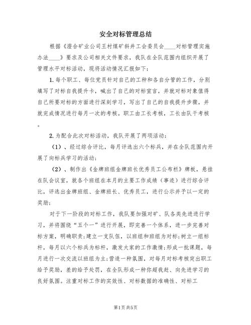 安全对标实施总结