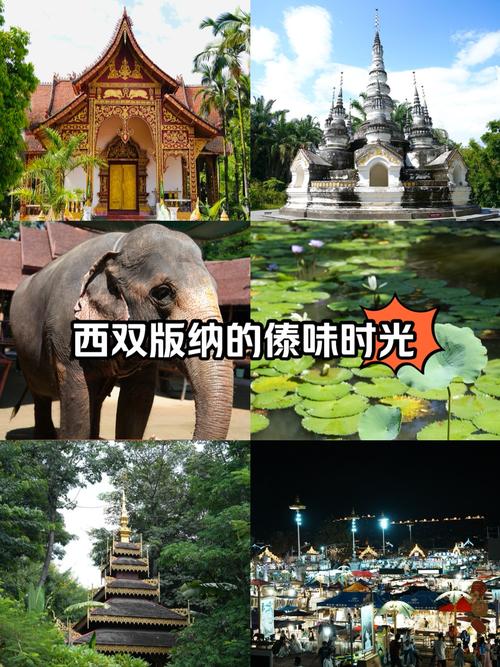论“傣味”与西双版纳特色旅游