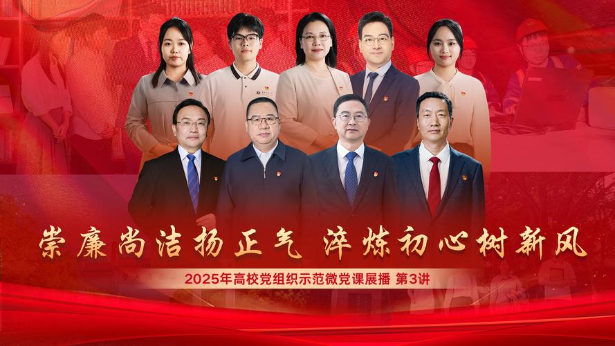 加强高校学生党组织制度建设之我见