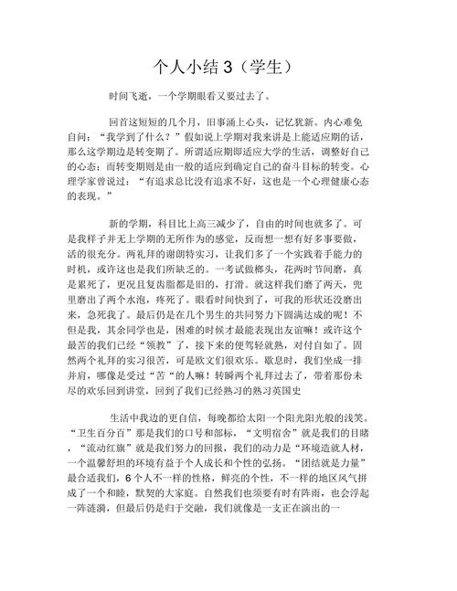 个人小结(学生)