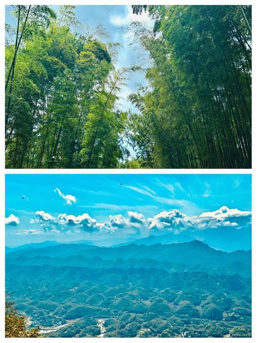 宜宾蜀南竹海：静谧与祥和的林海世界