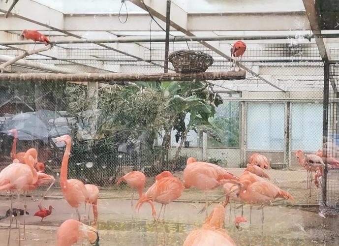 石家庄动物园游玩攻略_石家庄动物园游玩攻略辛玛王国