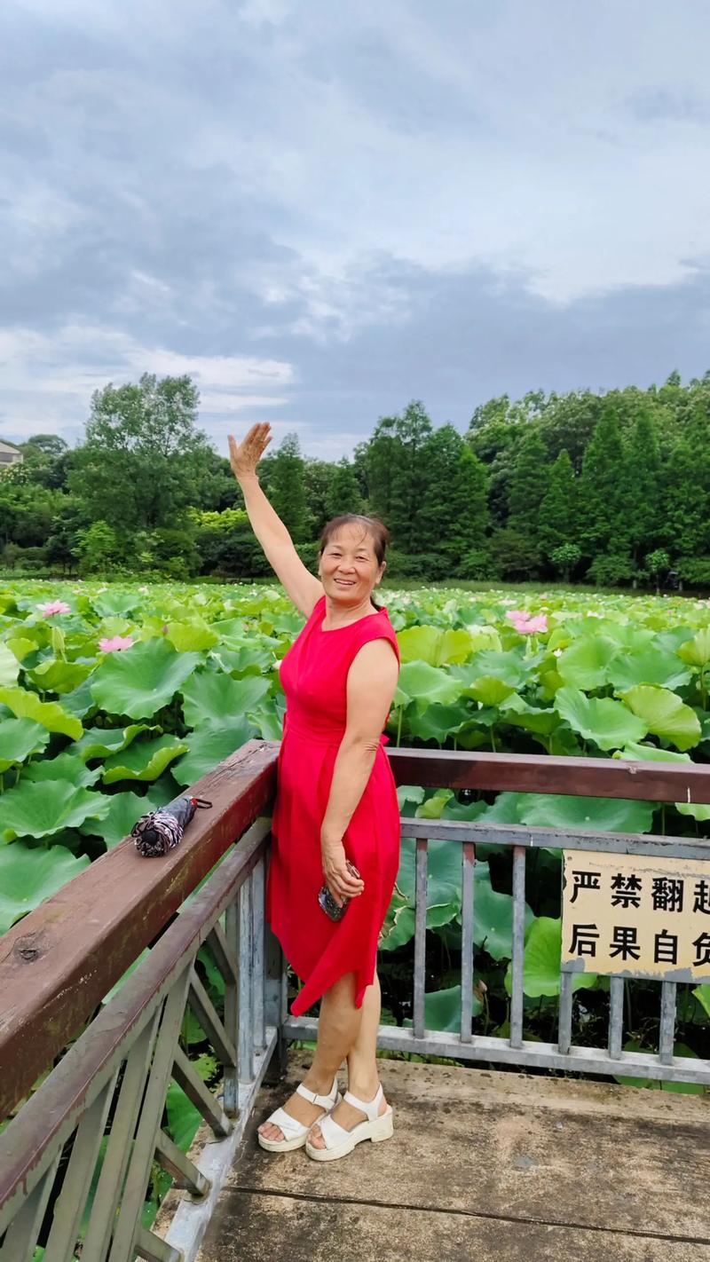 湖南衡阳南湖公园景点(衡阳南湖公园营业时间)