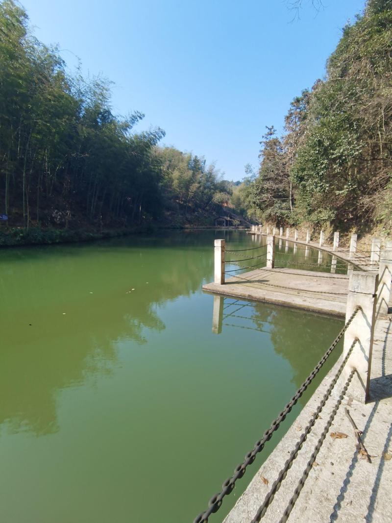 常德附近一日游旅游景点(常德市内一日游景点)