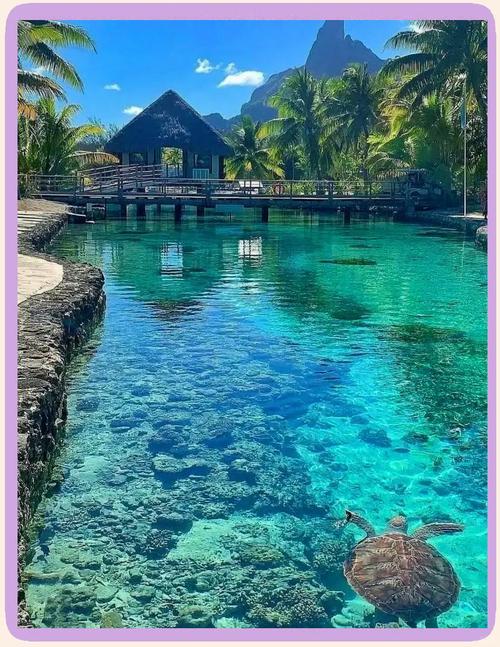 斐济当地特色景点(斐济当地特色景点图片)